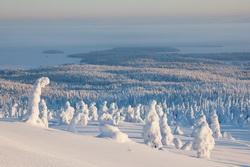 Riisitunturi (Kép: Tea Karvinen/Visit Finland Mediabank)