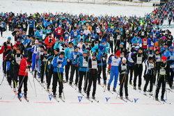 A Finlandia-hiihto nemzetközi sífutó maraton a Worldloppet versenysorozat finnországi állomása.