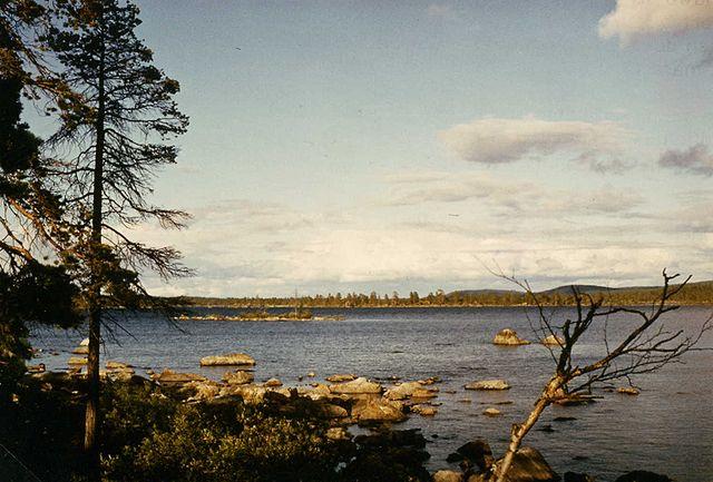 Az Inari-tó Lappföldön (Kép: Presse03, commons.wikimedia.org)